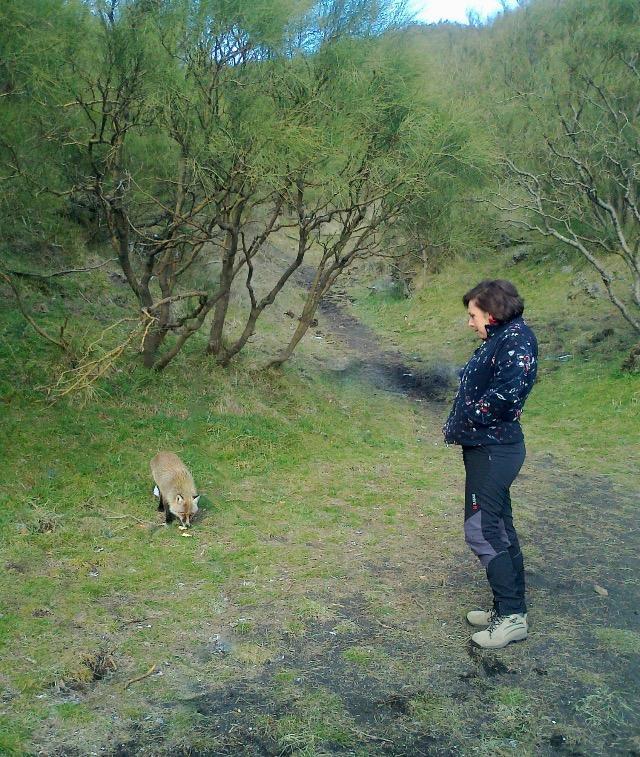 Etna Glob&B Hiking ザッフェラーナ・エトネーア エクステリア 写真